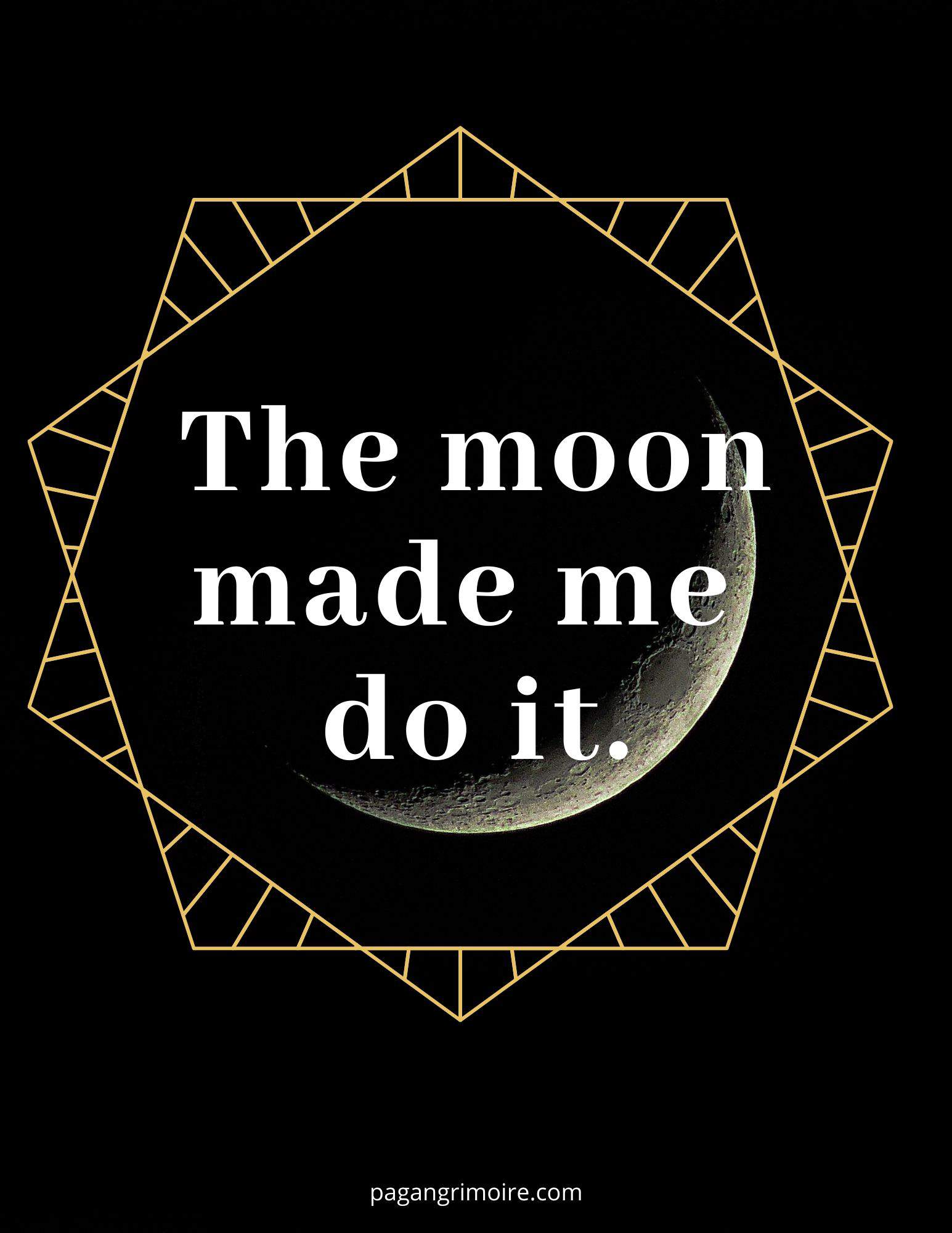 Witch Quotes - Moon Made Me Do It