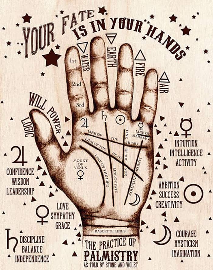 Your Fate Is In Your Hands Palmistry
