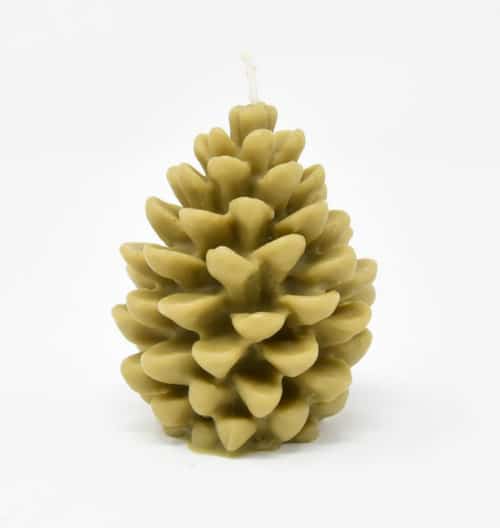 Bayberry Candles - Pinecone