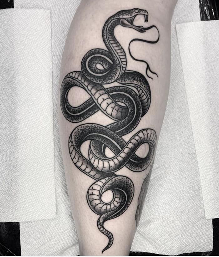 Snake Tattoos - black and grey