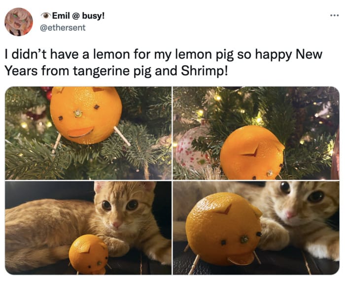 Lemon Pig - orange and cat