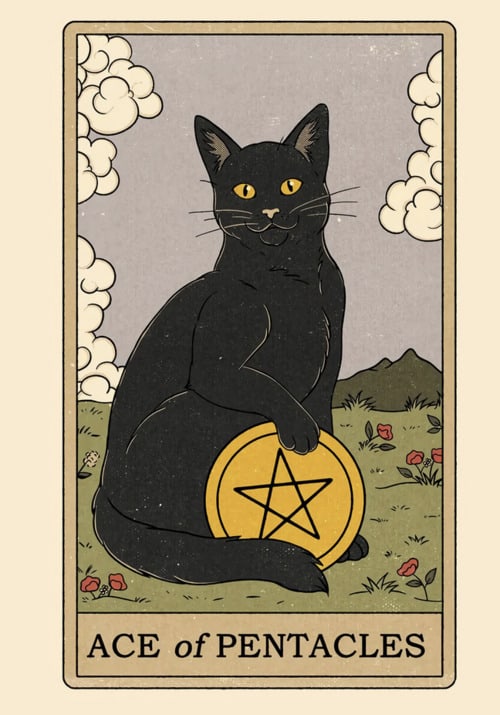 Ace of Pentacles Tarot Card Meanings - Cats Rule the World Deck
