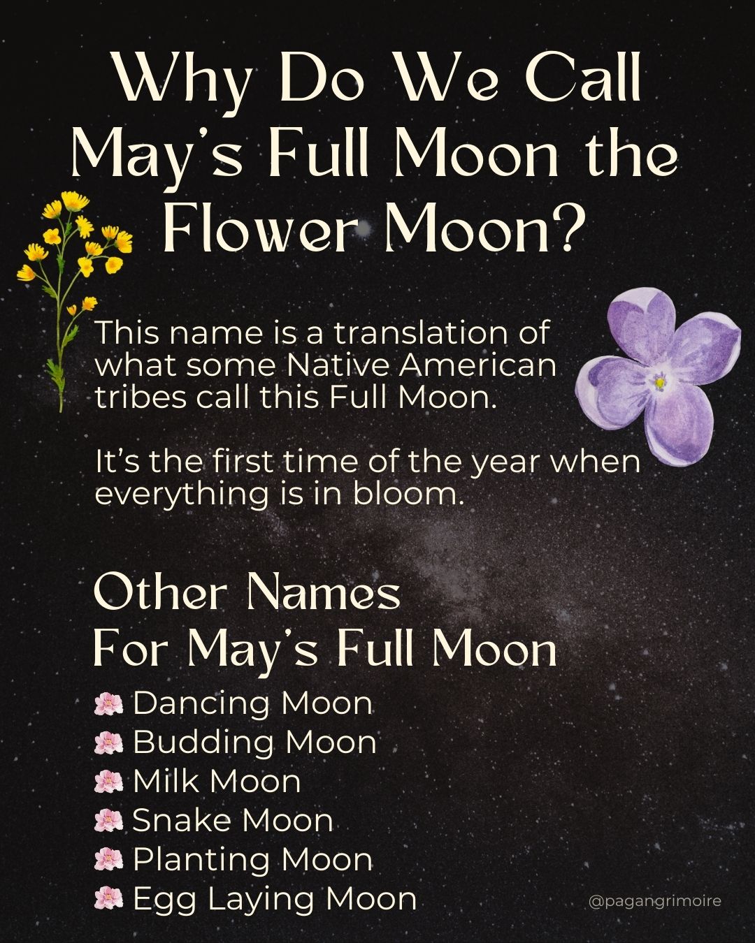 Flower Moon Names