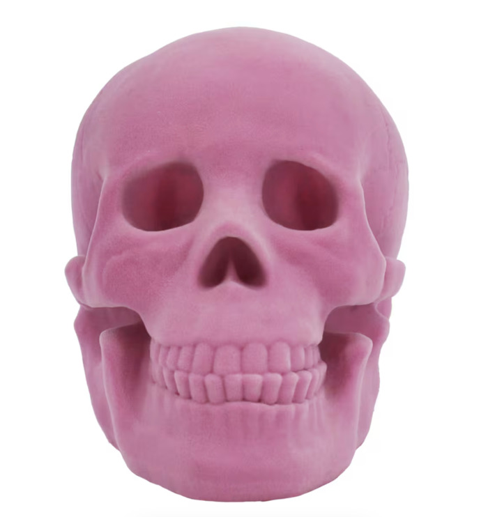 Pink Flocked Skull from Michaels